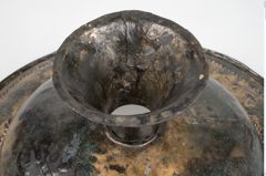 Foto von Bronzebreitrandfußschale (NHMW-PRAE-025182)